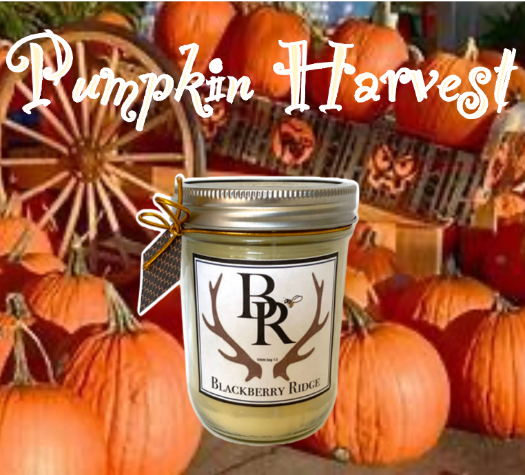 Beeswax Candle (Pumpkin Harvest)