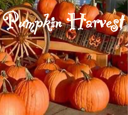 Beeswax Candle (F) - "Pumpkin Harvest"