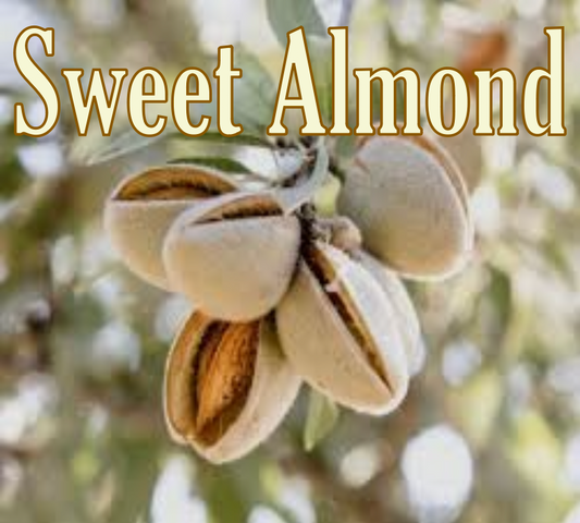 Beeswax Candle (A) - "Sweet Almond"