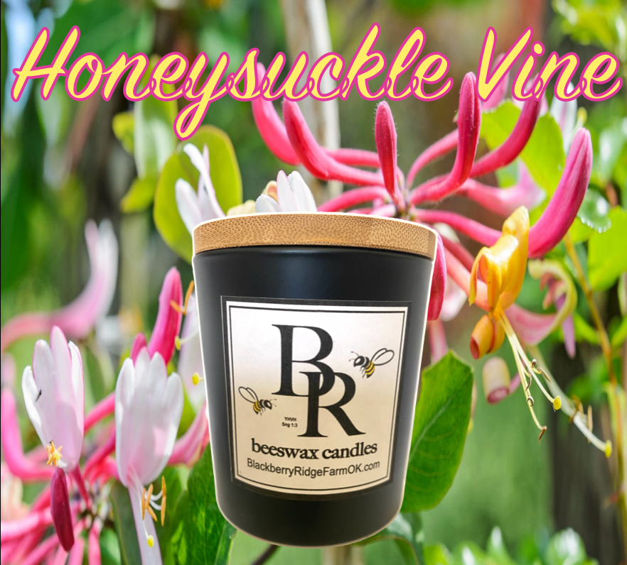 Beeswax Candle (S) - "Honeysuckle Vine"