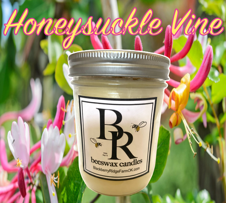 Beeswax Candle (S) - "Honeysuckle Vine"