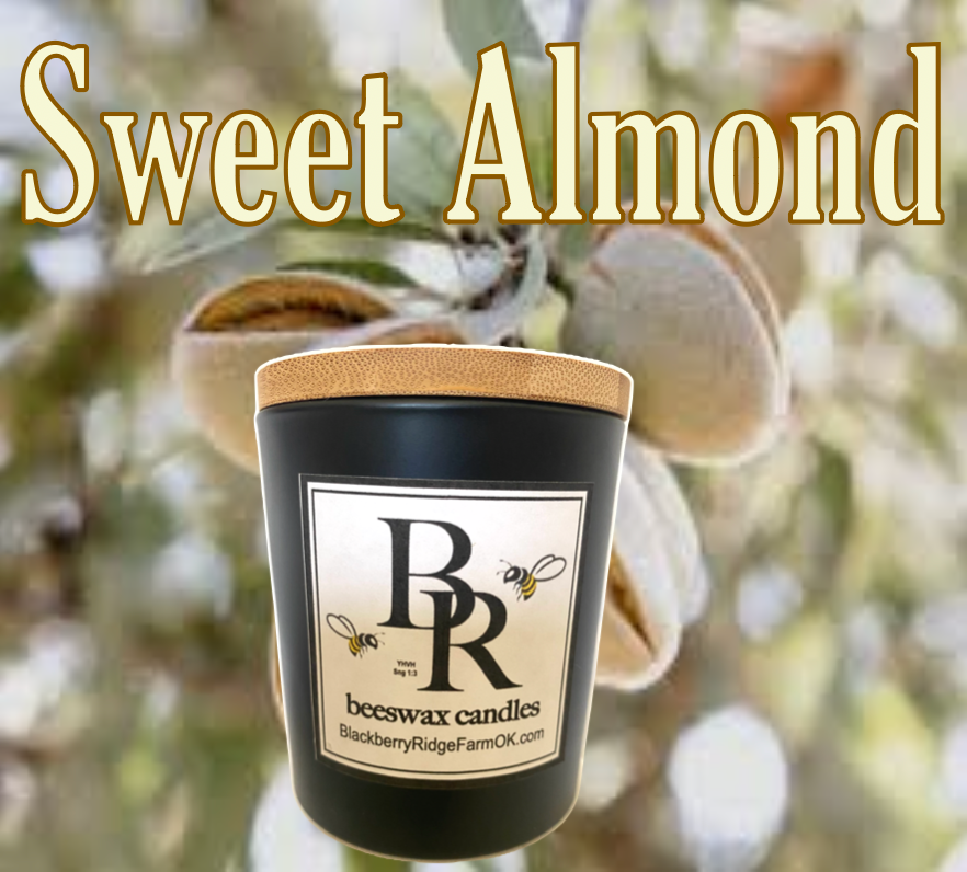 Beeswax Candle (A) - "Sweet Almond"