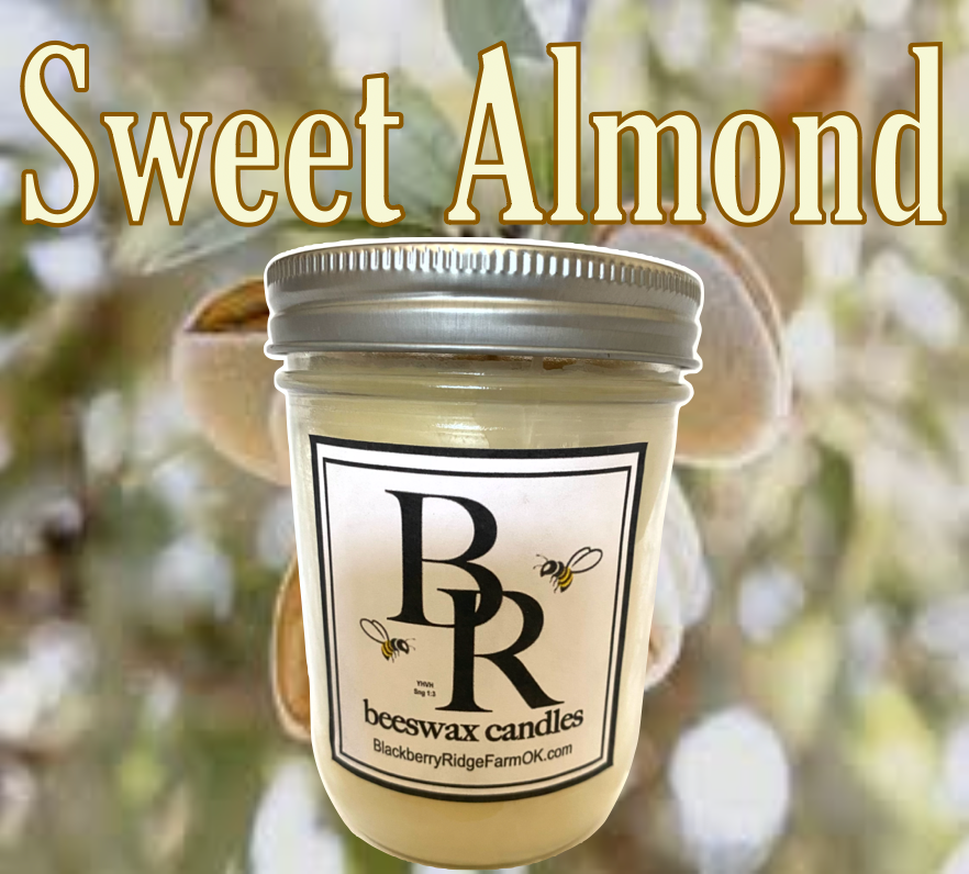 Beeswax Candle (A) - "Sweet Almond"