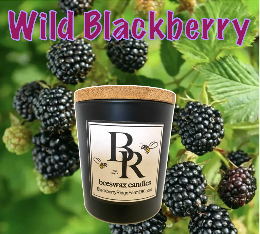 Beeswax Candle (A) - "Wild Blackberry"