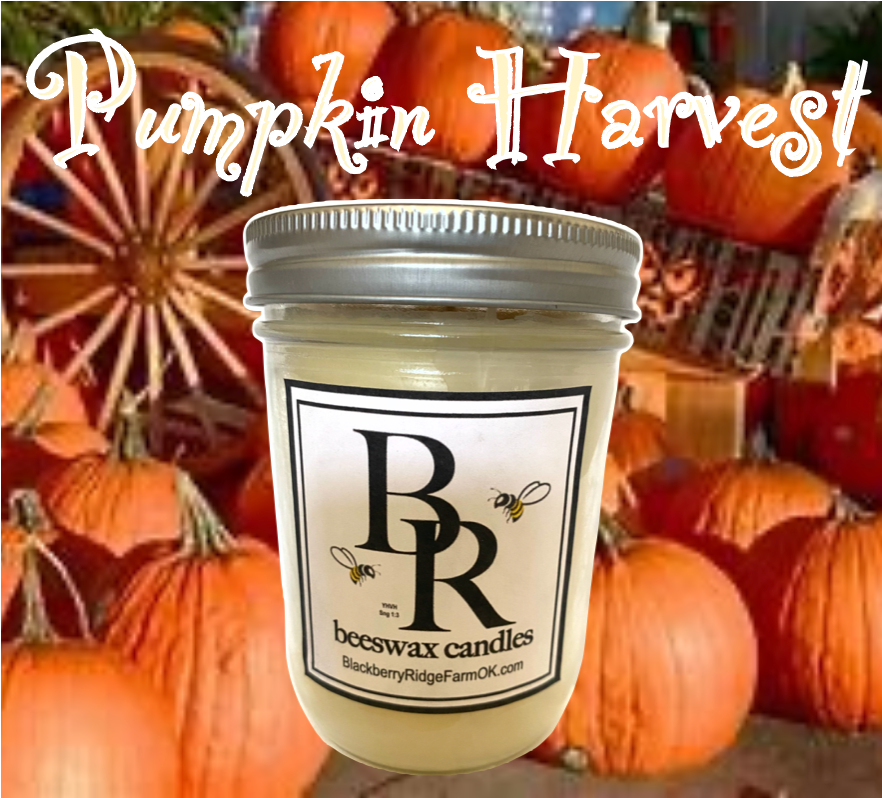 Beeswax Candle (F) - "Pumpkin Harvest"