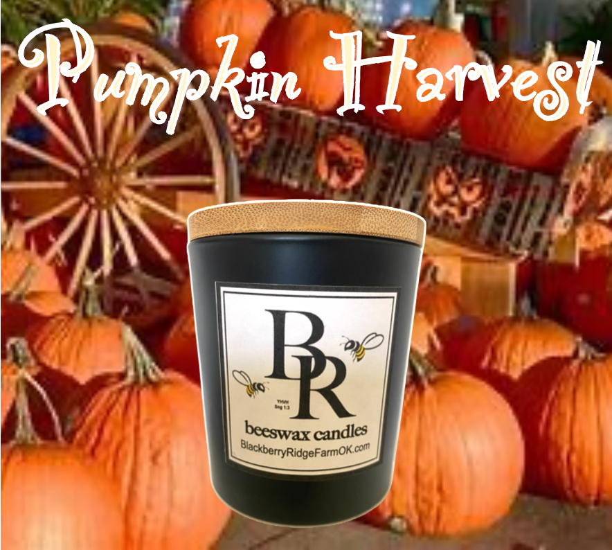 Beeswax Candle (F) - "Pumpkin Harvest"